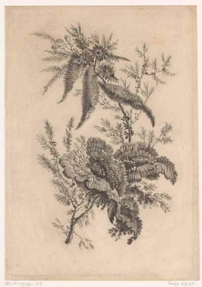 Wild Roses from Recueil De Nouvelles Fleurs De Goût; Pour la Manufacture des Etoffes de Perse by Johann Heinrich  Hess