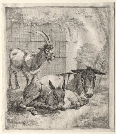 Goat and Donkeys by Johann Heinrich Roos