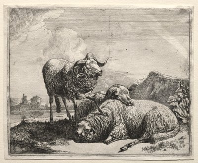 Ram and Two Sheep by Johann Heinrich Roos