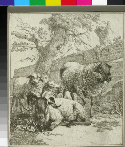Untitled by Johann Heinrich Roos
