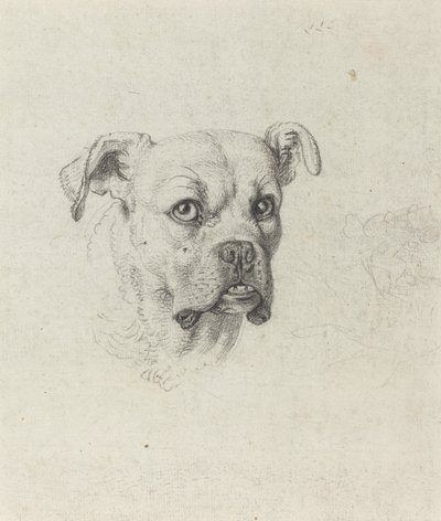 A Boxer by Johann Heinrich Wilhelm Tischbein