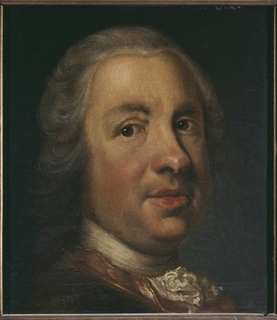 Portrait of Charles Emil Lewenhaupt the Elder by Johann Henrik Scheffel