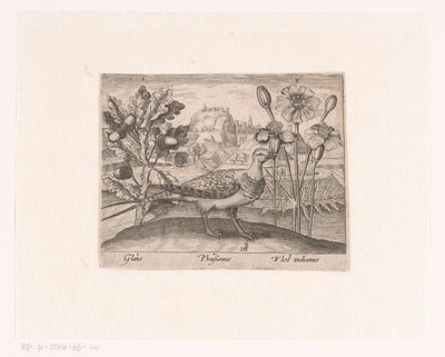 Series of Prints with Flowers and Animals in a Landscape by Johann Hogenberg