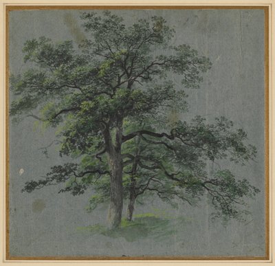 Two Trees (recto) Tree Studies (verso), first half 1800s by Johann Jacob Dorner
