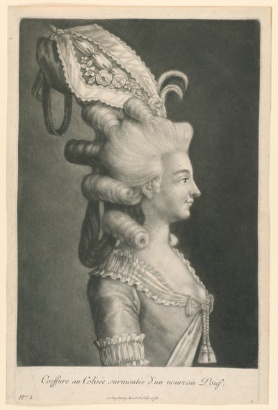 Hairstyle at the Colosseum Topped with a New Pouf by Johann Jakob Haid