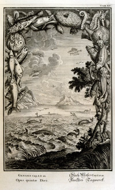 Copperplate engraving from 