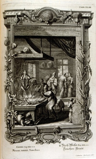 Illustration from Physique Sacree, ou Histoire-naturelle de la Bible by Johann Jakob Scheuchzer