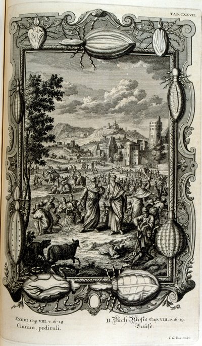 Plague of Lice and Midges by Johann Jakob Scheuchzer