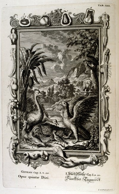 The Fifth Day of Creation: Animals are Created by Johann Jakob Scheuchzer