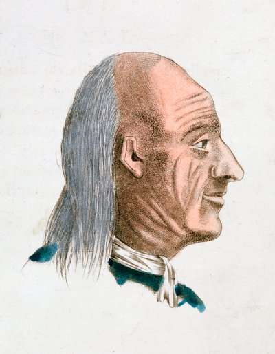 The Facial Characteristics of a Jovial and Kind Person, 1808 by Johann Kaspar Lavater
