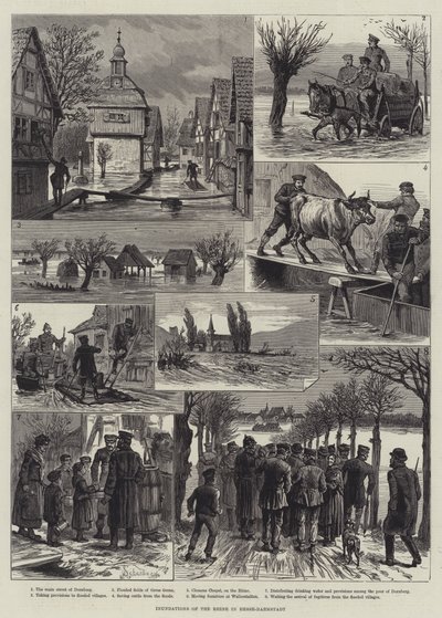 Inundations of the Rhine in Hesse-Darmstadt by Johann Nepomuk Schonberg