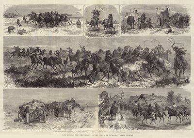 Life Amongst the Wild Horses of the Puszta, or Hungarian Heath Country by Johann Nepomuk Schonberg