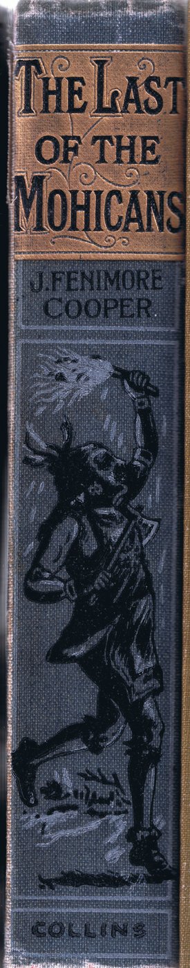 Spine Design by Johann Nepomuk Schonberg