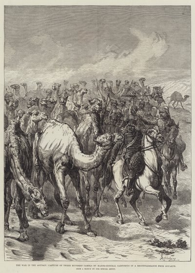 The War in the Sudan, Capture of Three Hundred Camels by Major-General Sartorius in a Reconnaissance from Suakin by Johann Nepomuk Schonberg