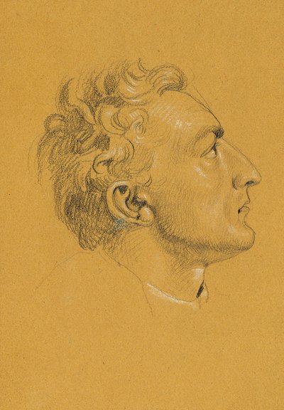 Head Study for 