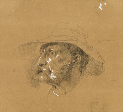 Head Study for 