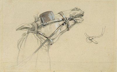 Study of a Horse