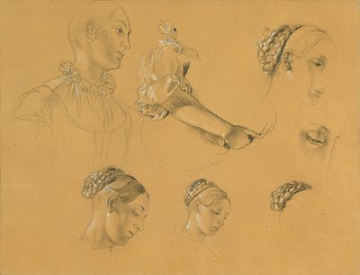 Study for 