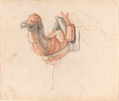 Camel by Johann Rudolph Schellenberg