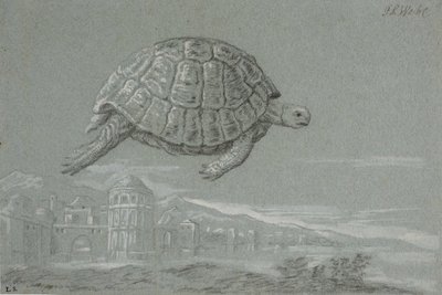 Study of a Turtle, and View of a Fortified City by the Sea (Venice) by Johann Salomon Wahl