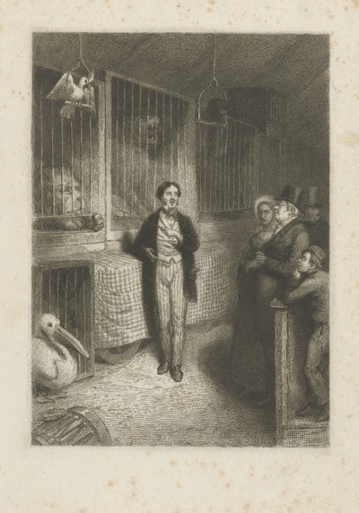 Animals Watching by Johann Wilhelm Kaiser (I)