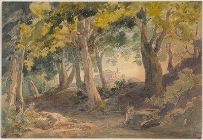 Landscape - with Tall Old Deciduous Trees and a Hill with a Castle in the Background by Johann Wilhelm Schirmer