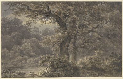 Oak Trees in the Forest by Johann Wilhelm Schirmer