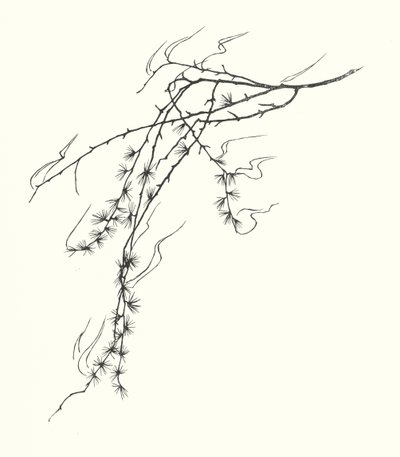 Johanna Beckmann silhouette by Johanna Beckmann