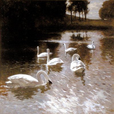 Swans on a Lake by Johannes Cornelis van Essen