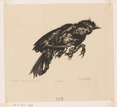 Dead Sparrow by Johannes Frederik Engelbert ten Klooster (signed by artist)