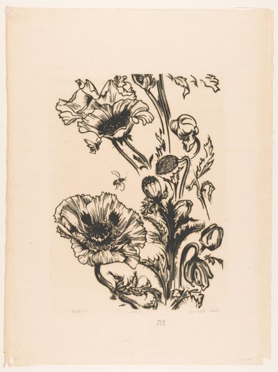 Study of Poppies by Johannes Frederik Engelbert ten Klooster (signed by artist)