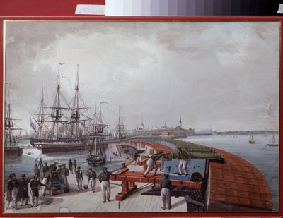 View of Reval, The Harbour and the Russian Coast Artillery by Johannes Hau