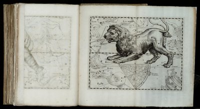 Leo (constellation), from Prodromus astronomiae by Johannes Hevelius