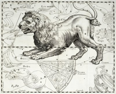 Leo, zodiacal constellation of Lion by Johannes Hevelius