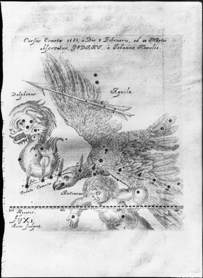 The Comet Discovered and Observed by Johannes Hevelius from 3rd February to 28th March 1661 in Gdansk by Johannes Hevelius