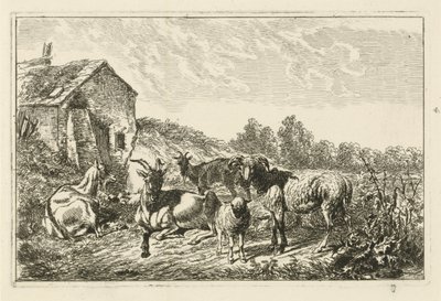Four Goats and a Sheep by a House by Johannes Mock