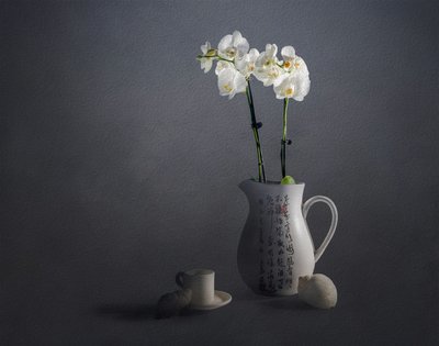 Elegant Orchid Still Life by John-Mei Zhong