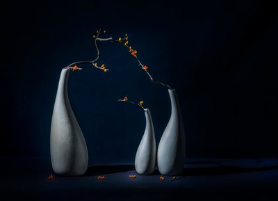 Elegant Vases with Blooms by John-Mei Zhong