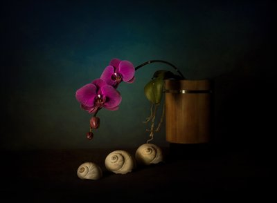 Purple Orchids Still Life by John-Mei Zhong