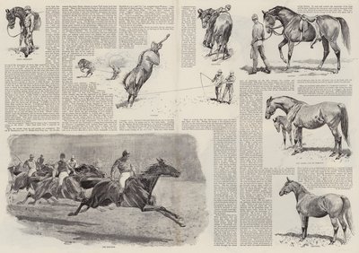 The Career of a Racehorse by John (after) Charlton