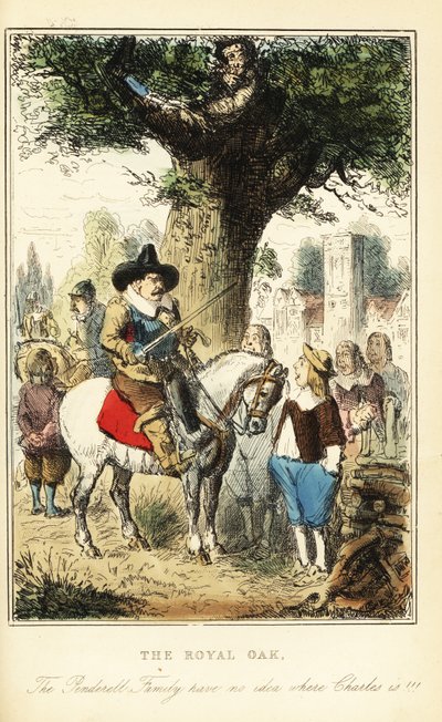 King Charles II Hiding Up an Oak Tree in Boscobel Wood, After the Battle of Worcester by John (after) Leech