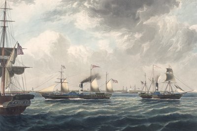 The Steamships 