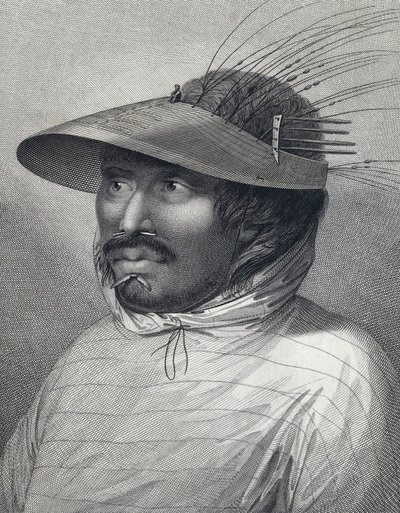 Portrait of a man from Oonalashka by John (after) Webber