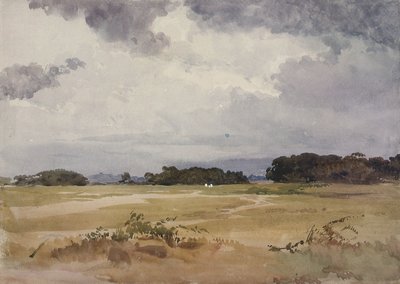 A Field with Groups of Trees by John Absolon