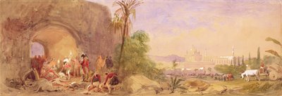 The Discovery of Tipu