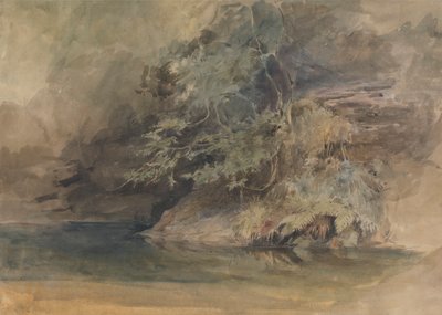 Trees by a Pool by John Absolon