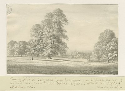 Lichfield Cathedral - View from Aldershaw (distant) by John Allport