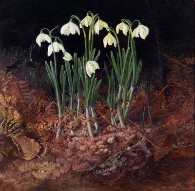 Snowdrop by John Atkinson Grimshaw