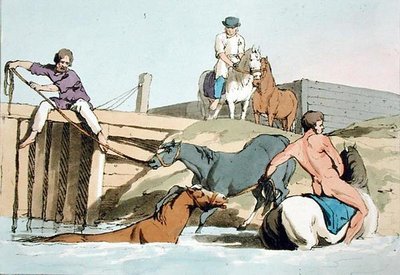 Bathing Horses, etched by the artist, published 1803 by John Augustus Atkinson