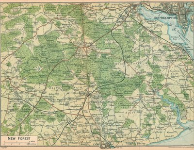 New Forest, 20th Century by John Bartholomew